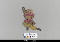 藏品(中國湖北皮影戲戲偶-孫悟空)的圖片